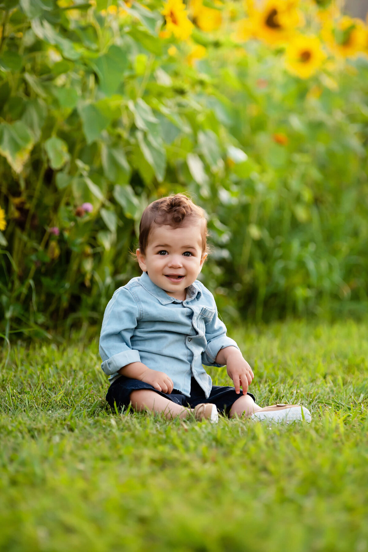 Baby bow sitting on the ground in front of a sunflower field for his family photos