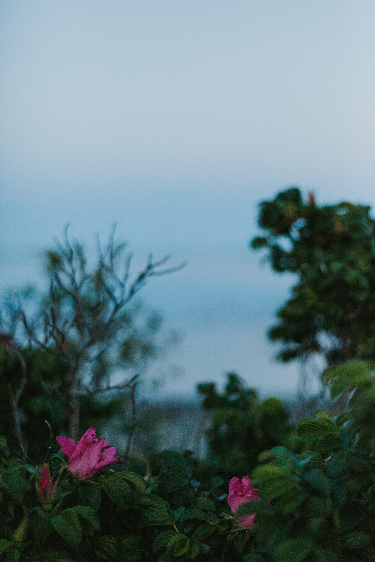 LS_CBPhoto_2020-722
