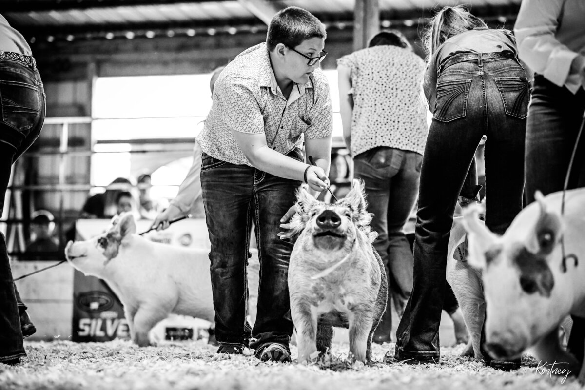 boy driving hog in the middle of the ring