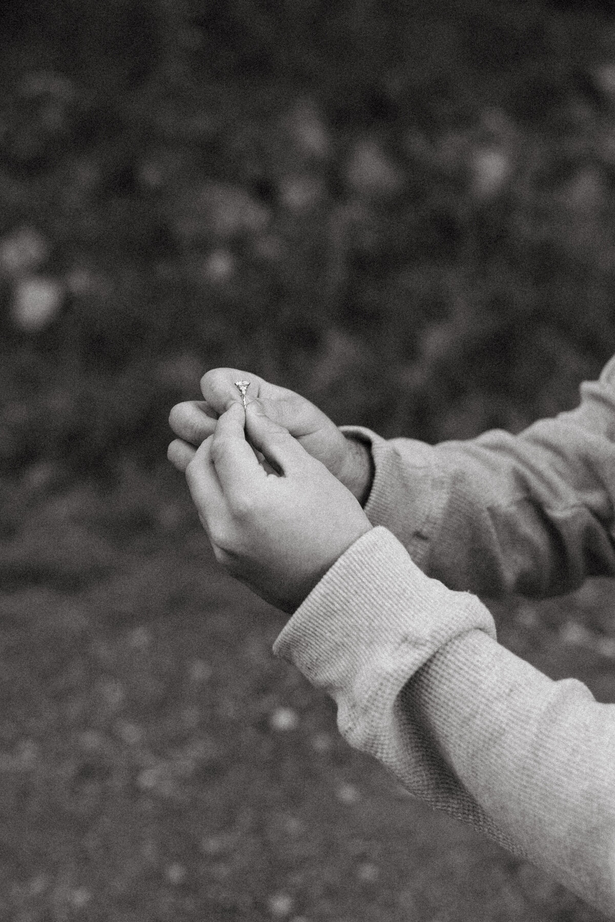 MadisonMcKenziePhotography-24