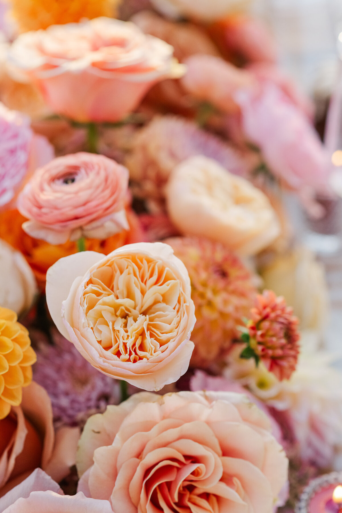 Florals | Jackson Wyoming Photographer