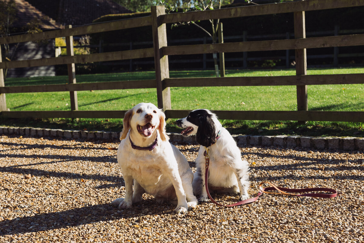 Freya & Winnie (6)