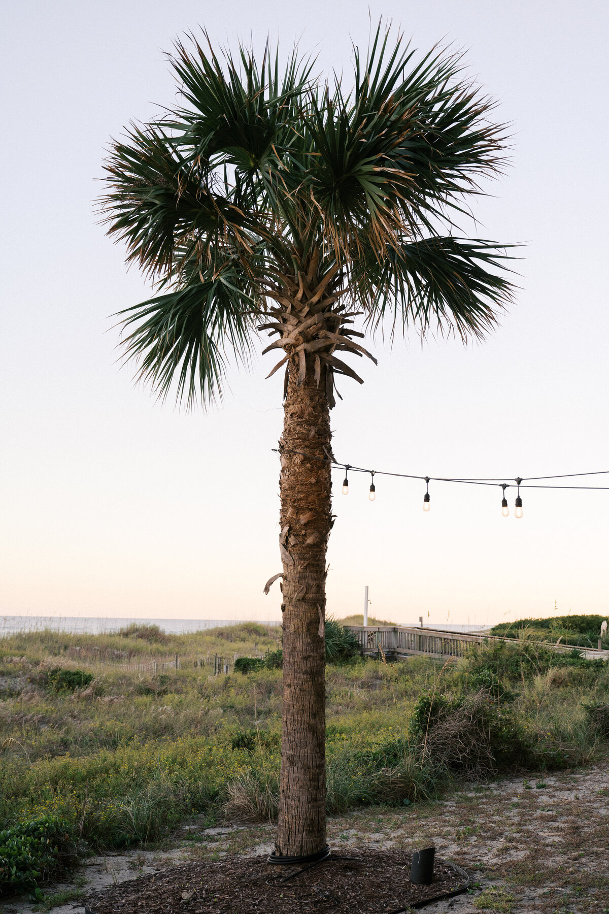 wilmington-nc-rehearsal-dinner-6