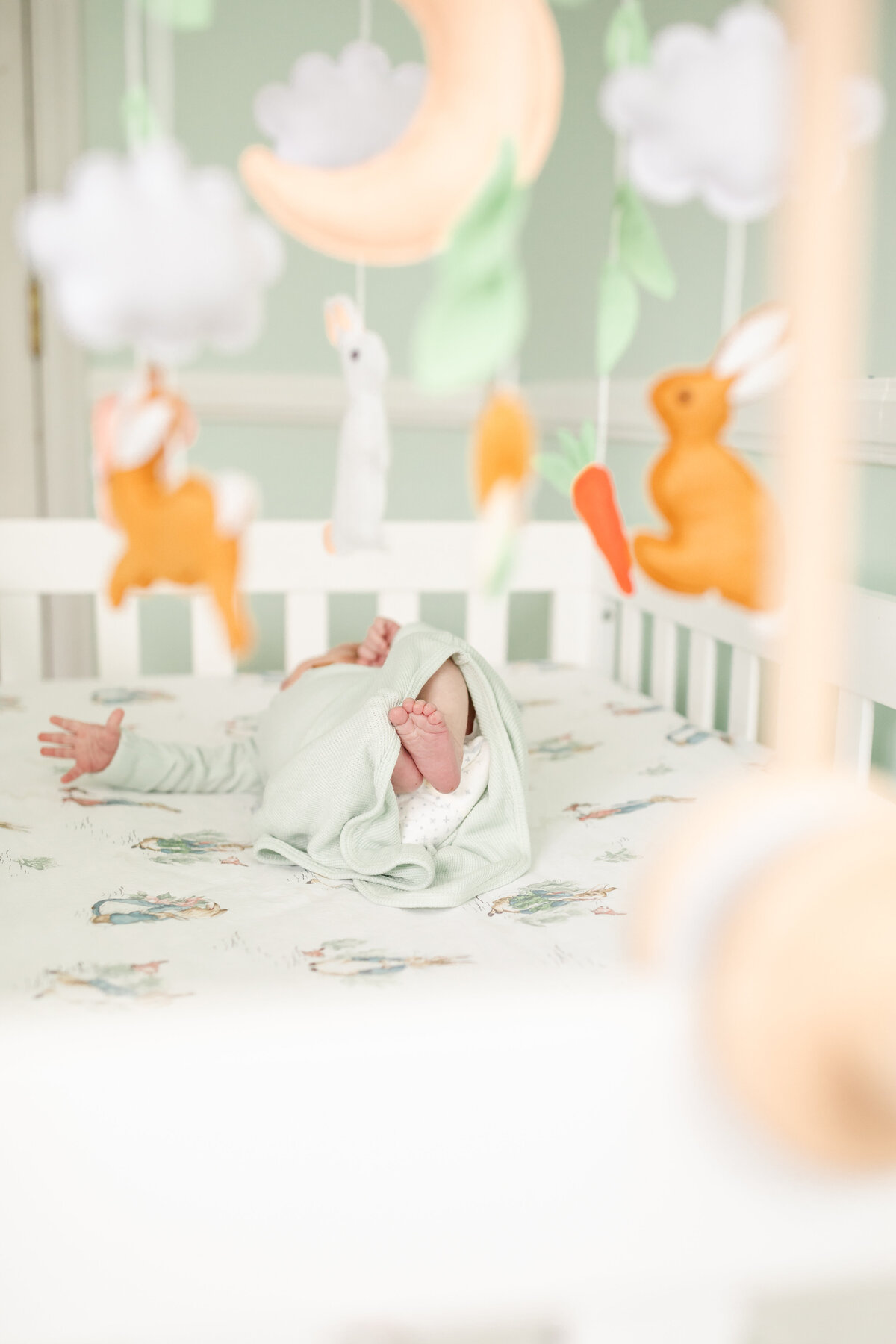 Lifestyle Newborn - Thompson update-7