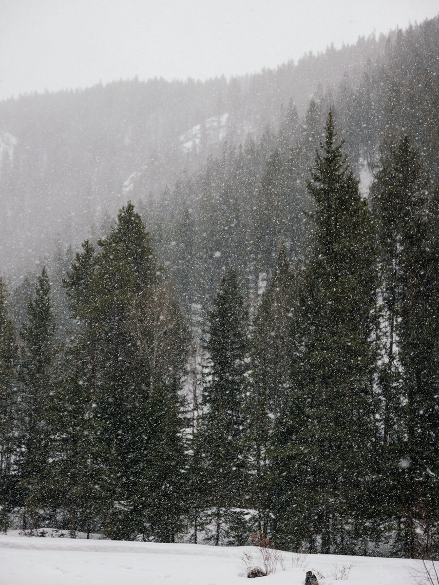 leila-brewster-photography-crested-butte-0125