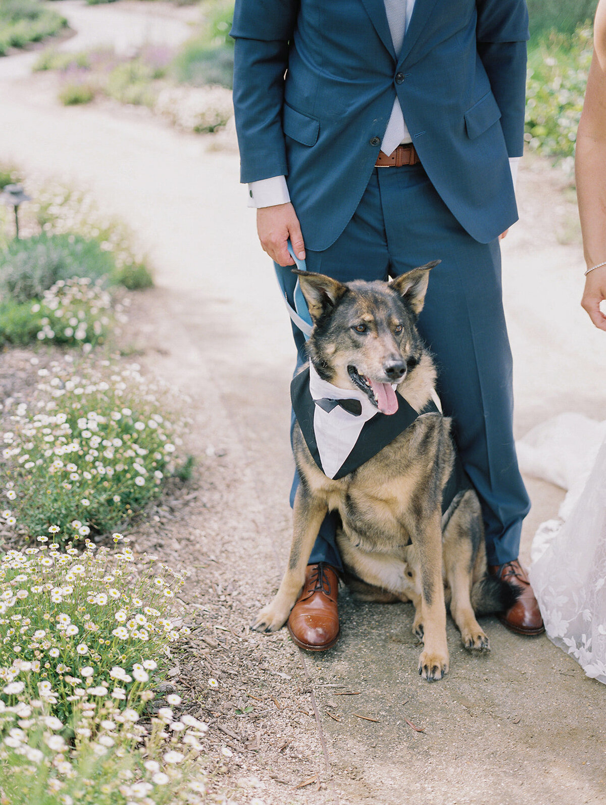 Luxury-Wedding-The-Barn-at-Harrow-Cellars-Sonoma-CA88