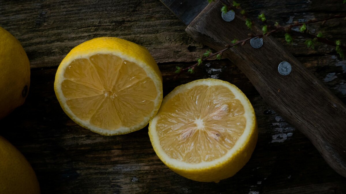 Renzo Leopoldo Showit Template By Salt Thread_124