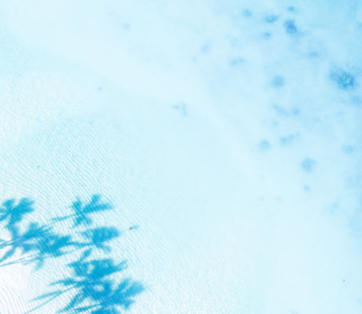 Blue Oasis 2