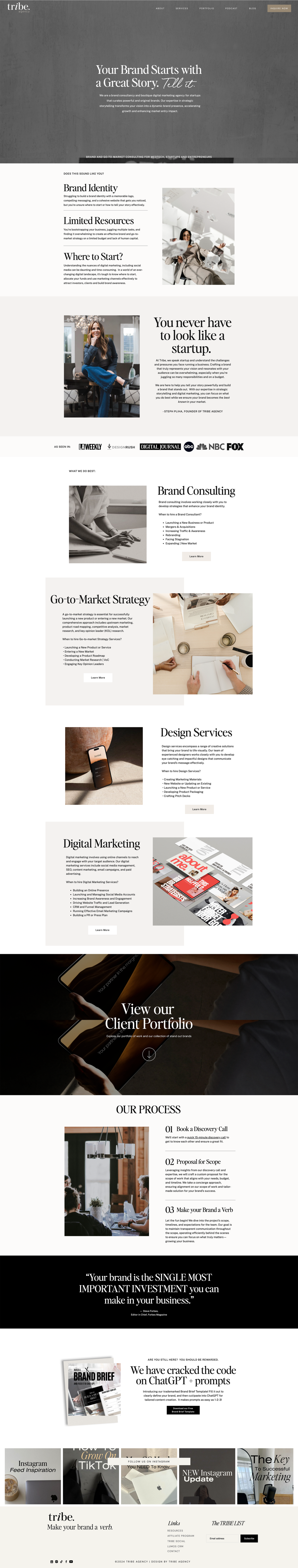 Service page design for Tribe Agency showcasing core offerings, packages, and brand-aligned visuals in a clean, modern layout