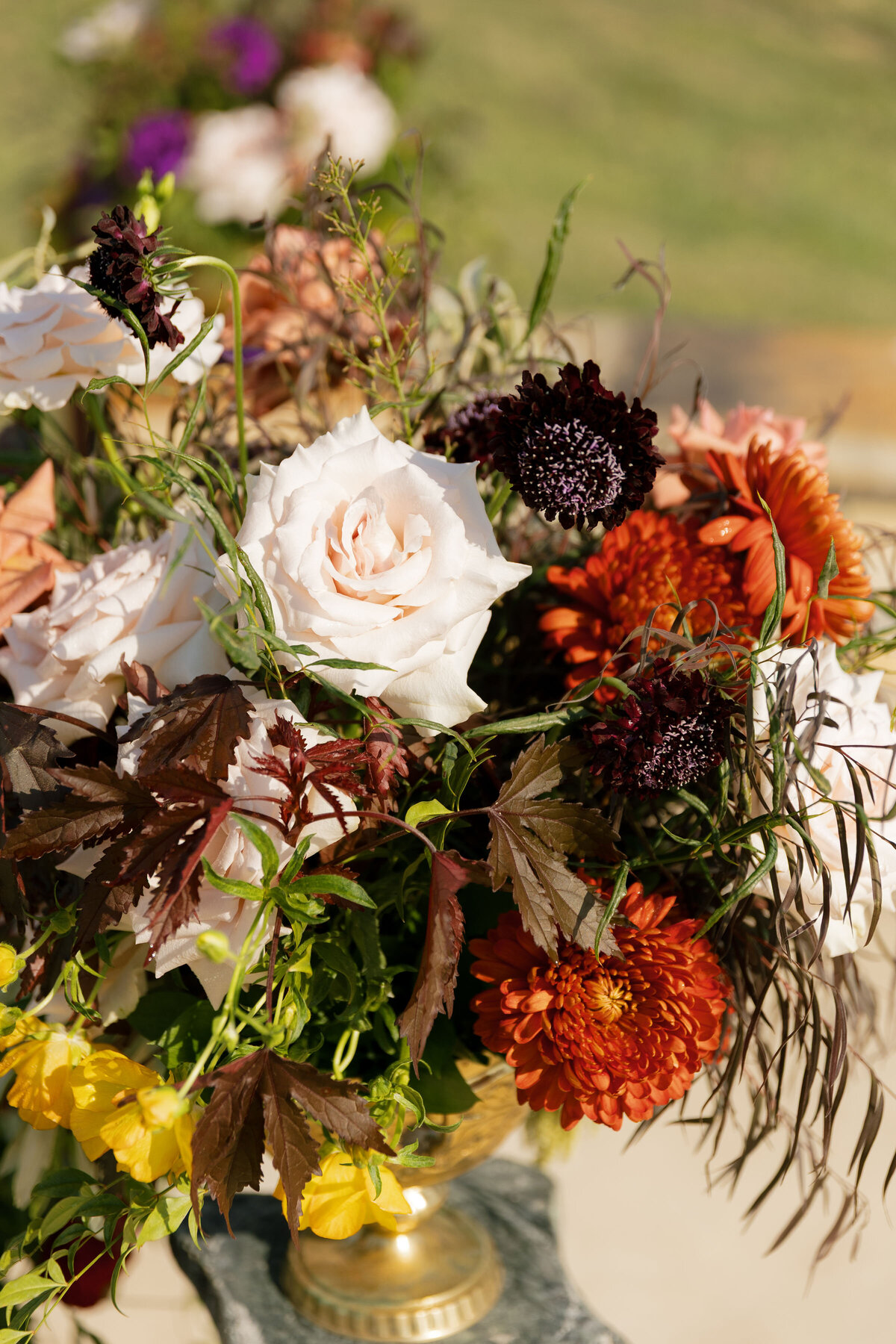 Close-up of autumn-inspired wedding centerpiece showcasing blush roses, deep burgundy scabiosa, orange mums, and textured greenery arranged in a gold vase during an outdoor ceremony.