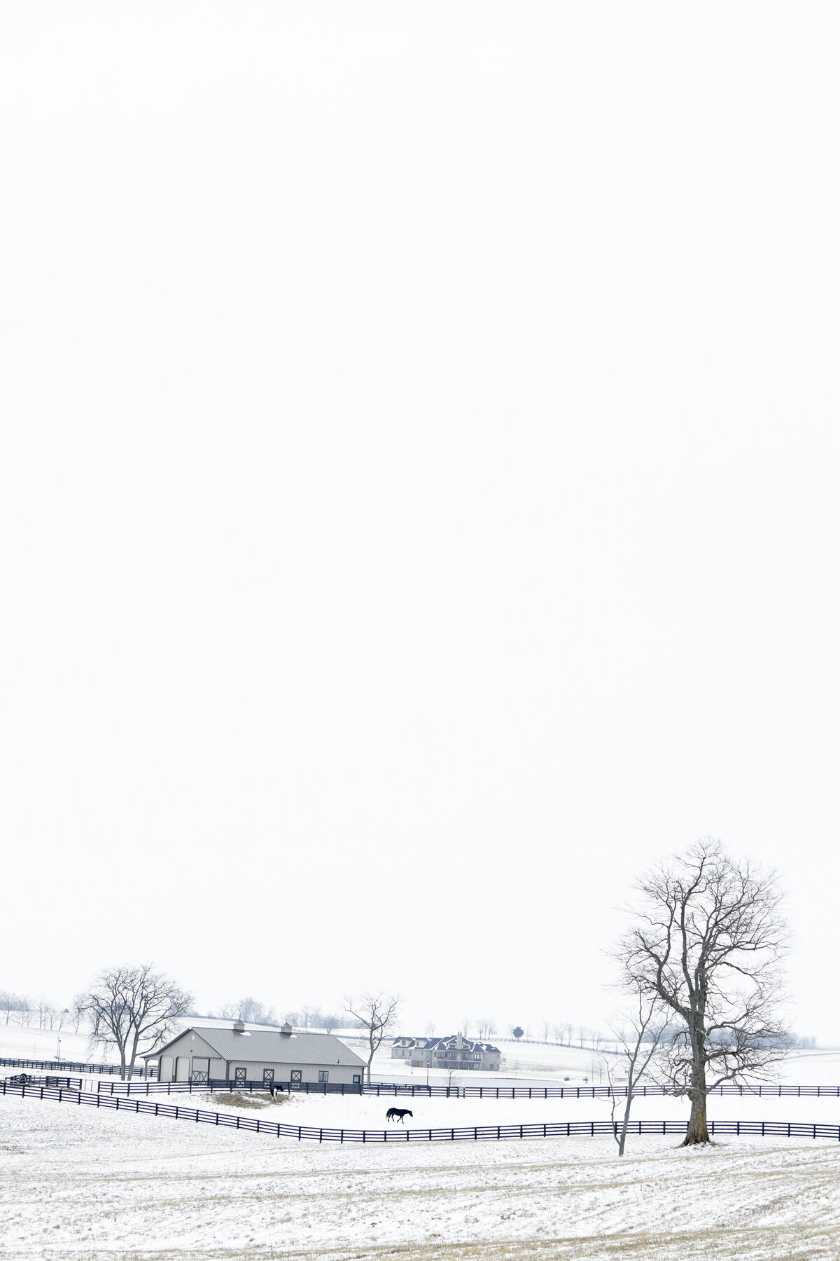 20130202_PROJECT_0054_02