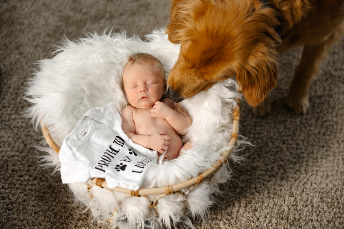 Newborn_ND_034