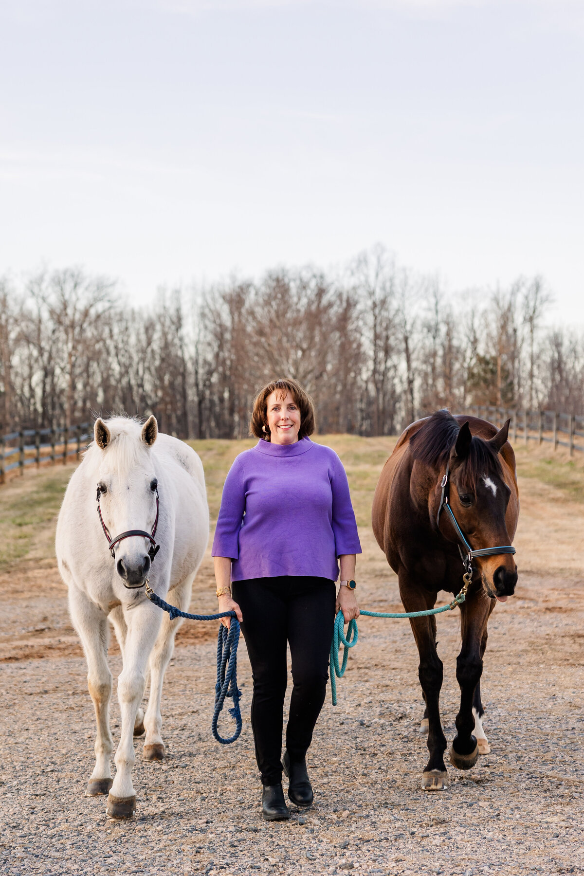 Equine Photographer in Richmond, Virginia