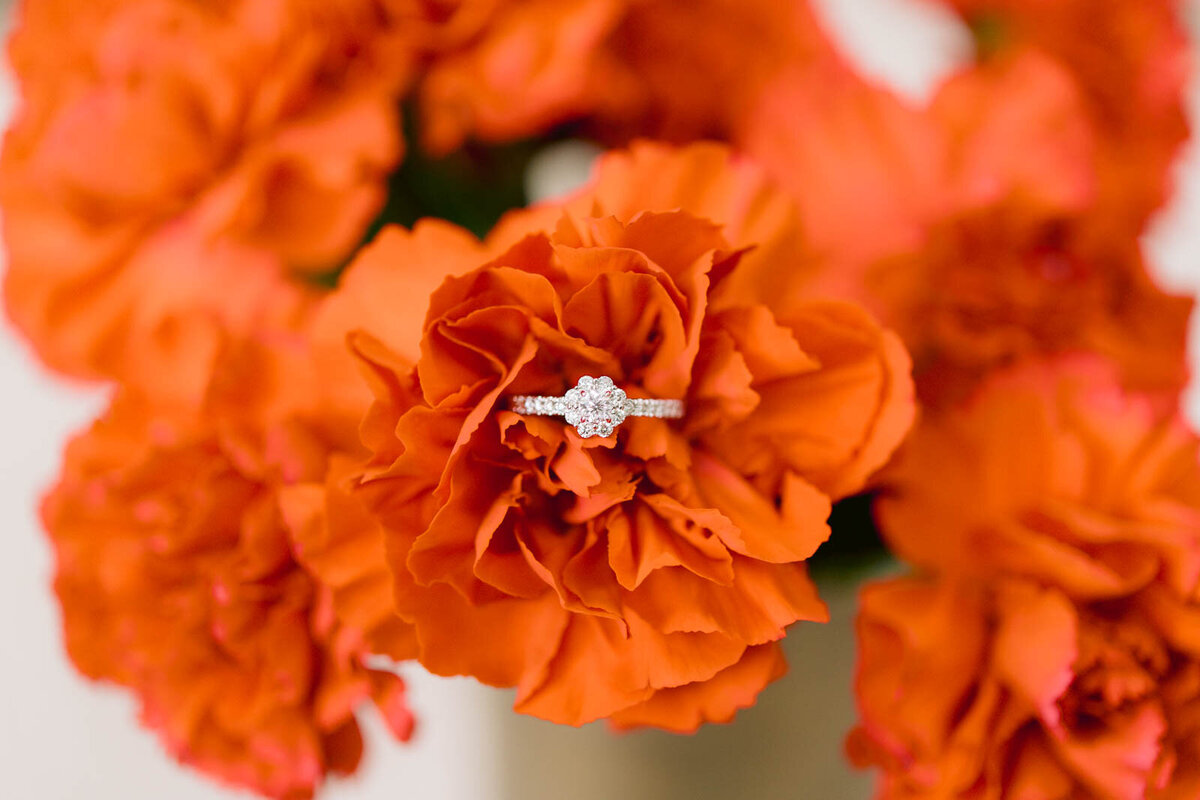 Perfect proposal location in Austin up-close red flowers