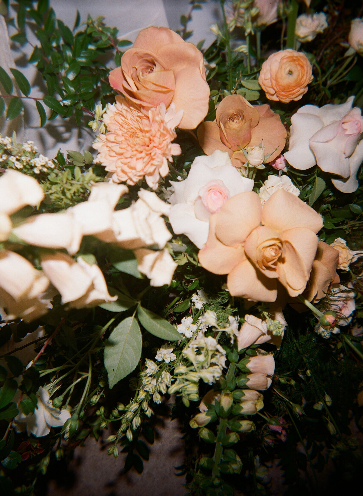 CAITLIN+CALVIN-LI-787