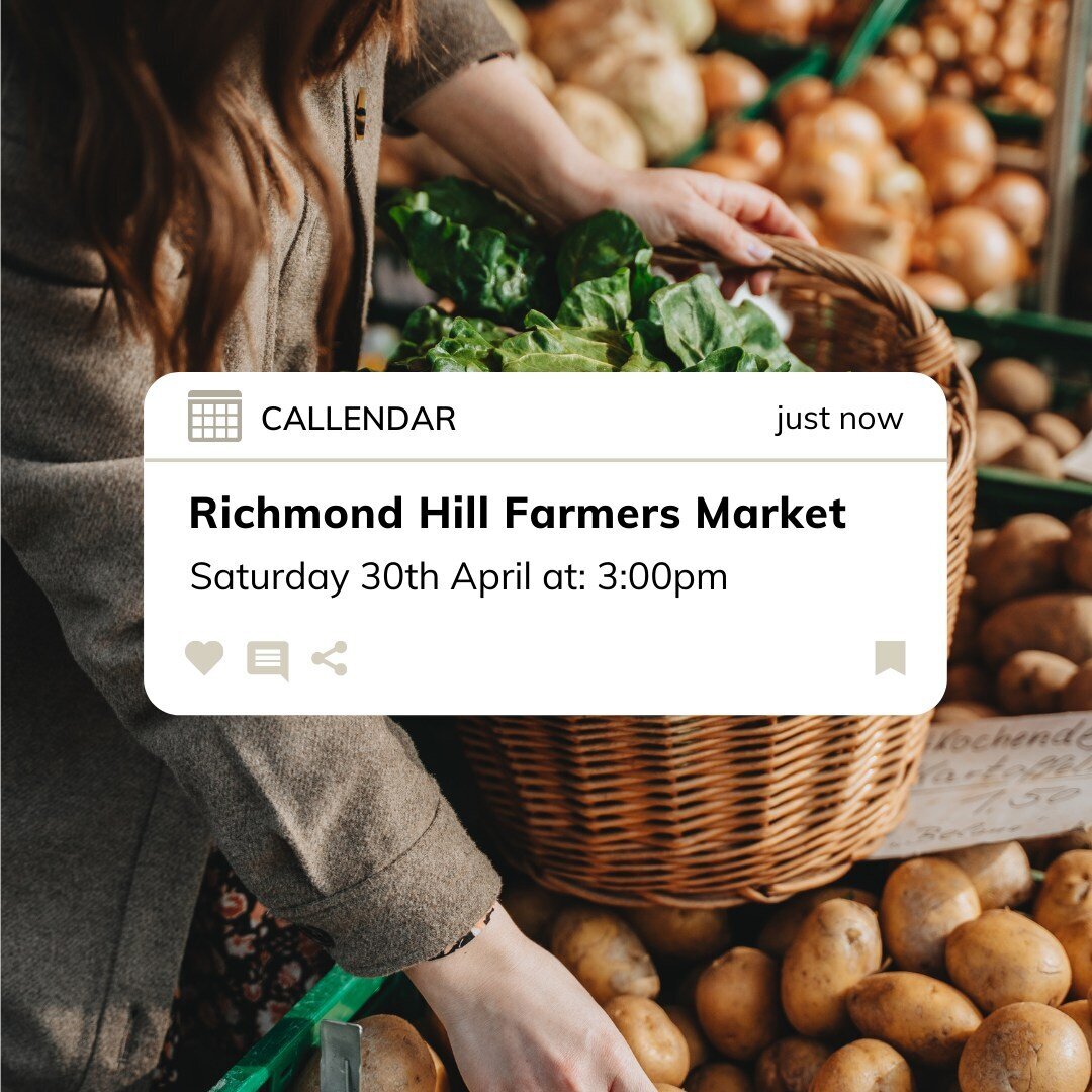 Instagram Posts_Cue the Content