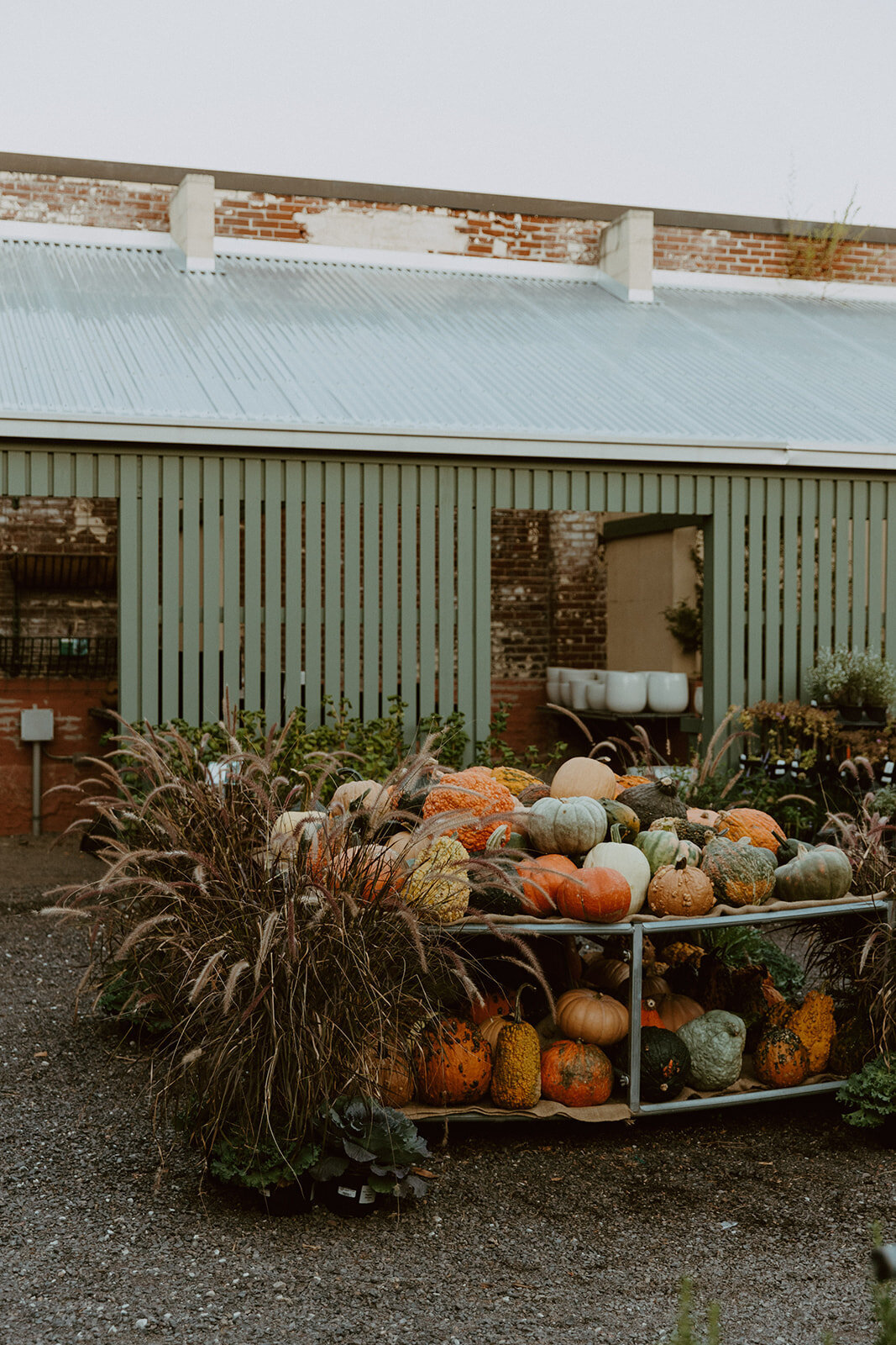 St. Louis_ MO _ Elopement + Intimate Wedding Photography _ Backcountry Bohemians-218