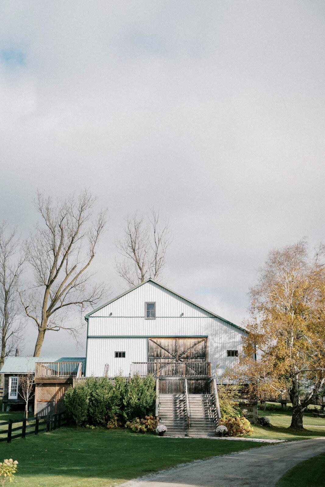 W11-Wedding-Photos-Caledon-Valley-Estate-Eleanor-and-Michael-2024-11-02-2500px-1070