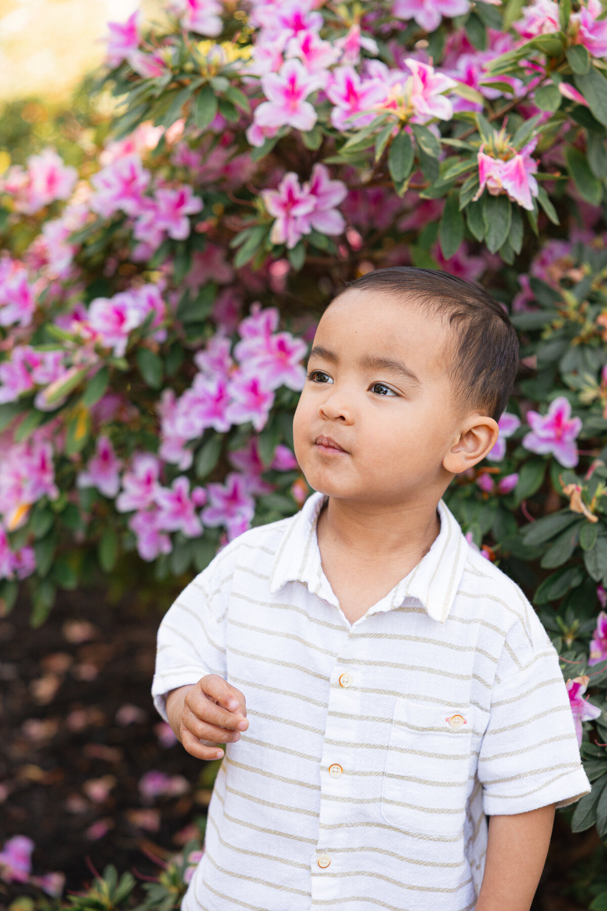 Piedmont Park Japanese Teahouse_Bay Area Family Photography_Valarie Duran Photography-7791