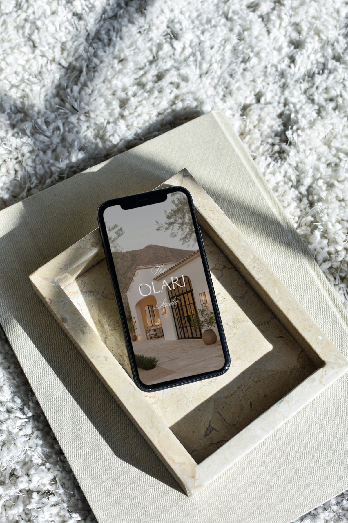 olarimockup14