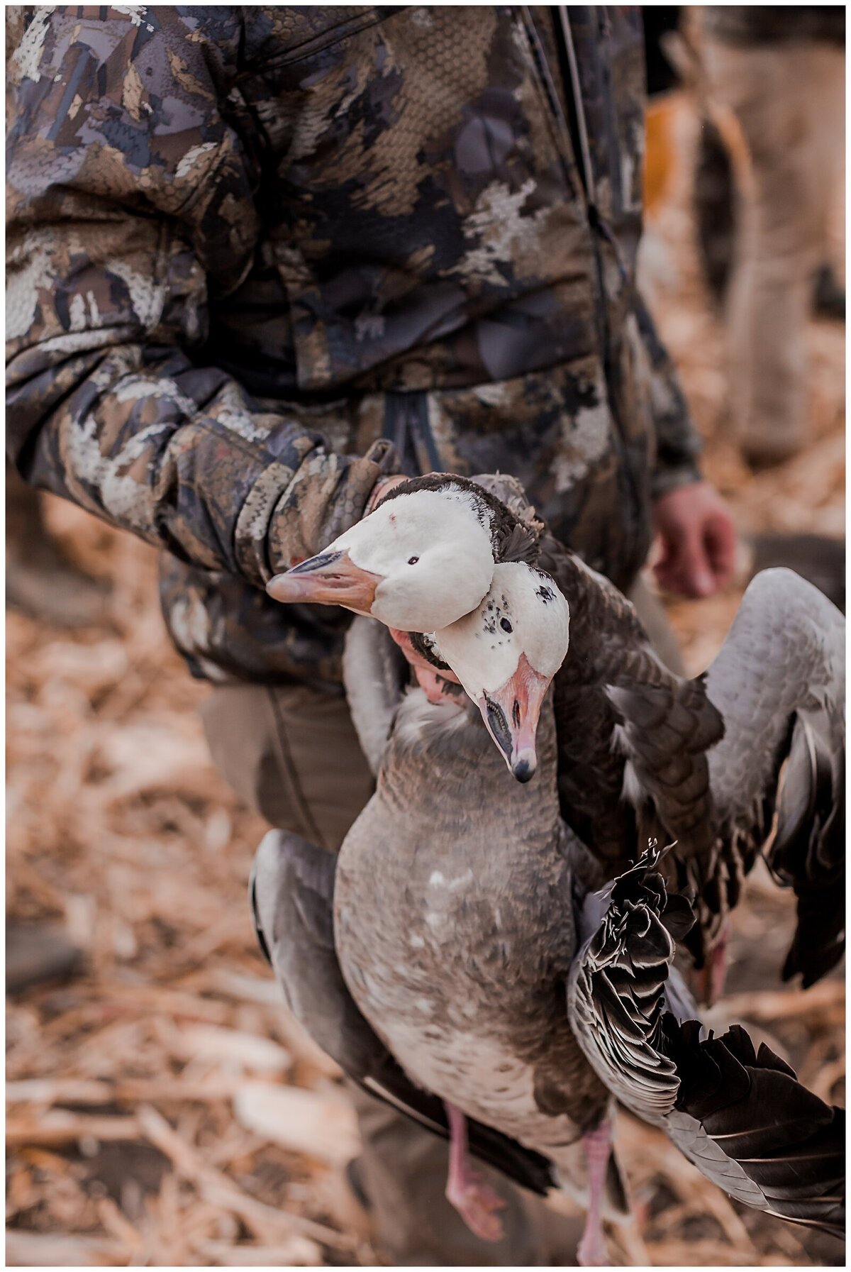 Fowl Plains Central Kansas duck and goose hunting outfitter0043