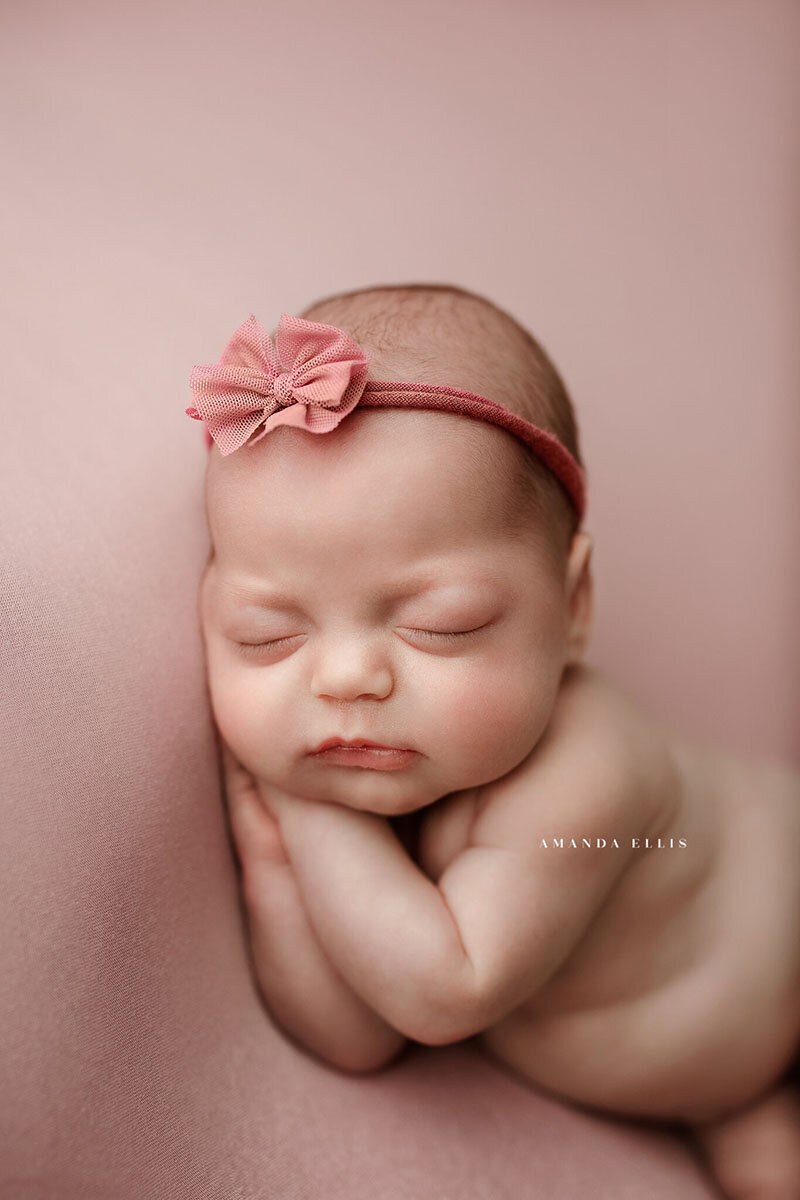 Stunning newborn portrait in rose set