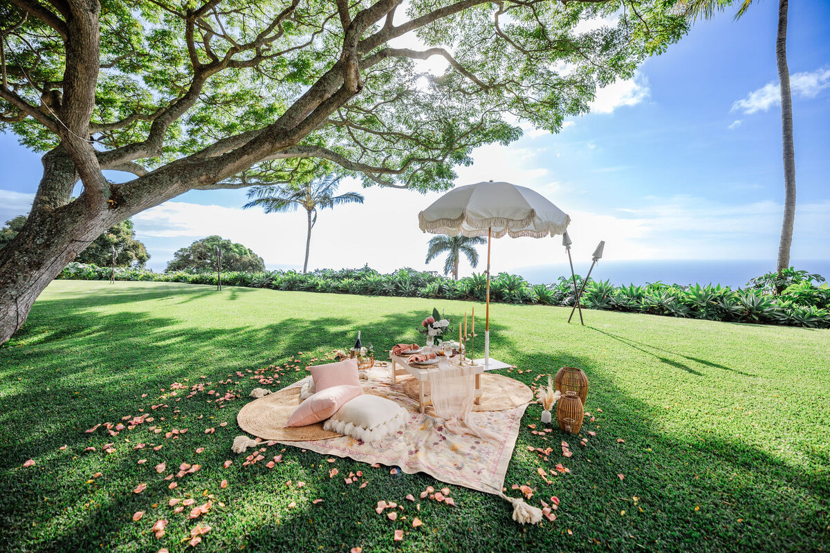 Hawaii-Engagement-Photos-Holualoa-Inn (5)