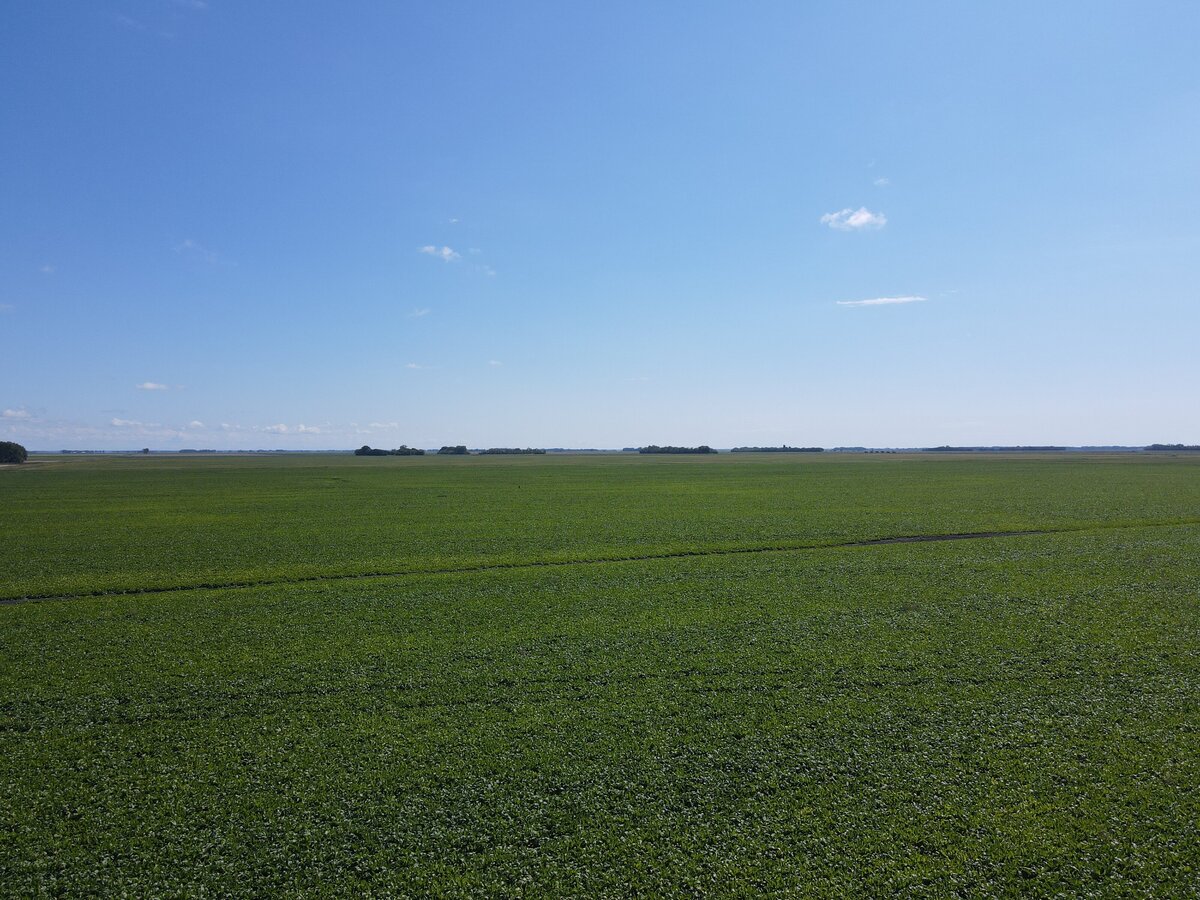 DJI_0880