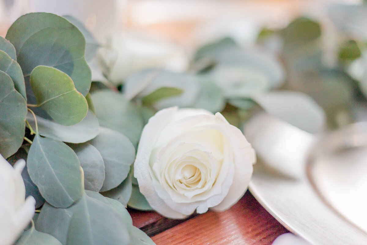 Hailey June Photography-20