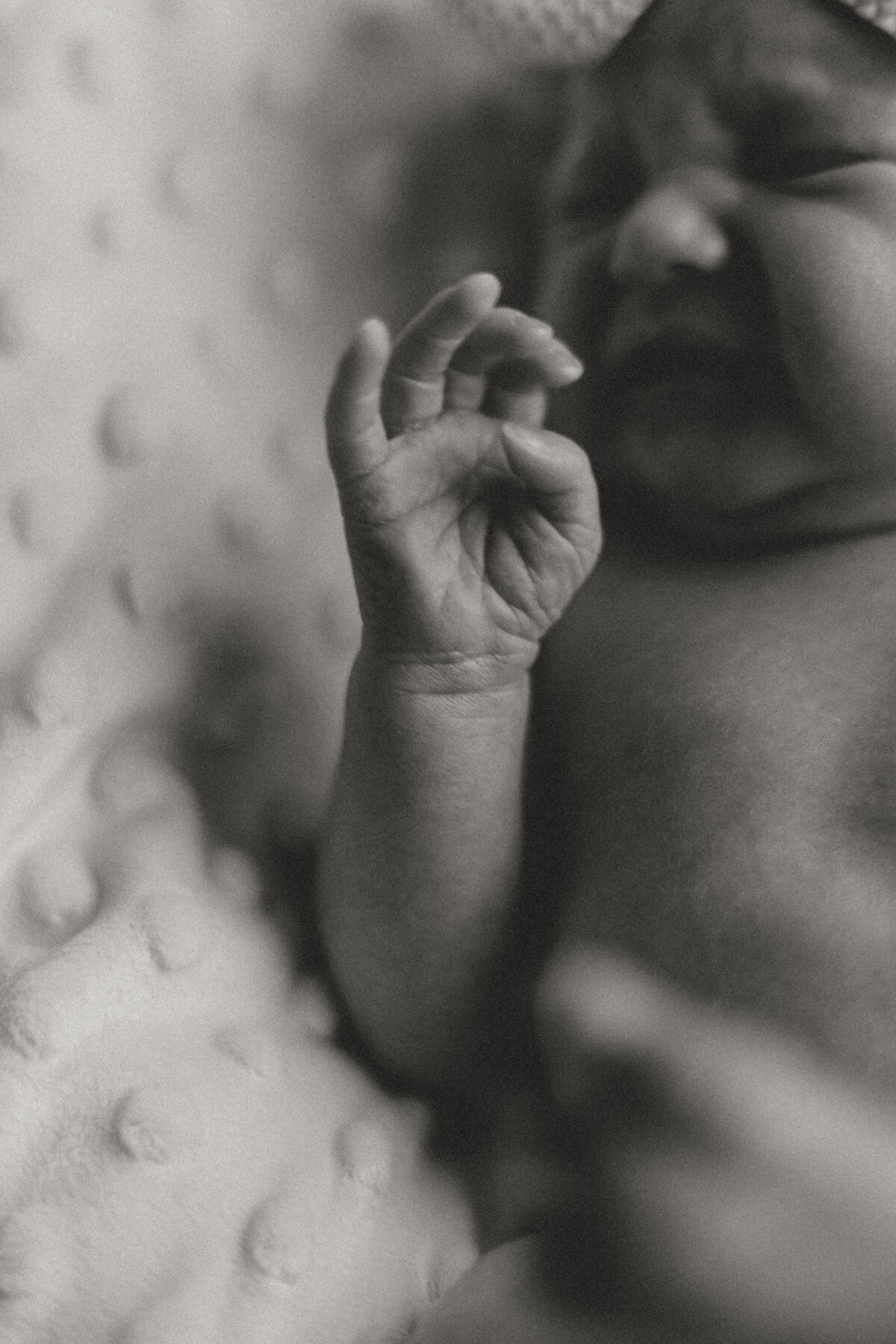 CindyG.Photography-1601