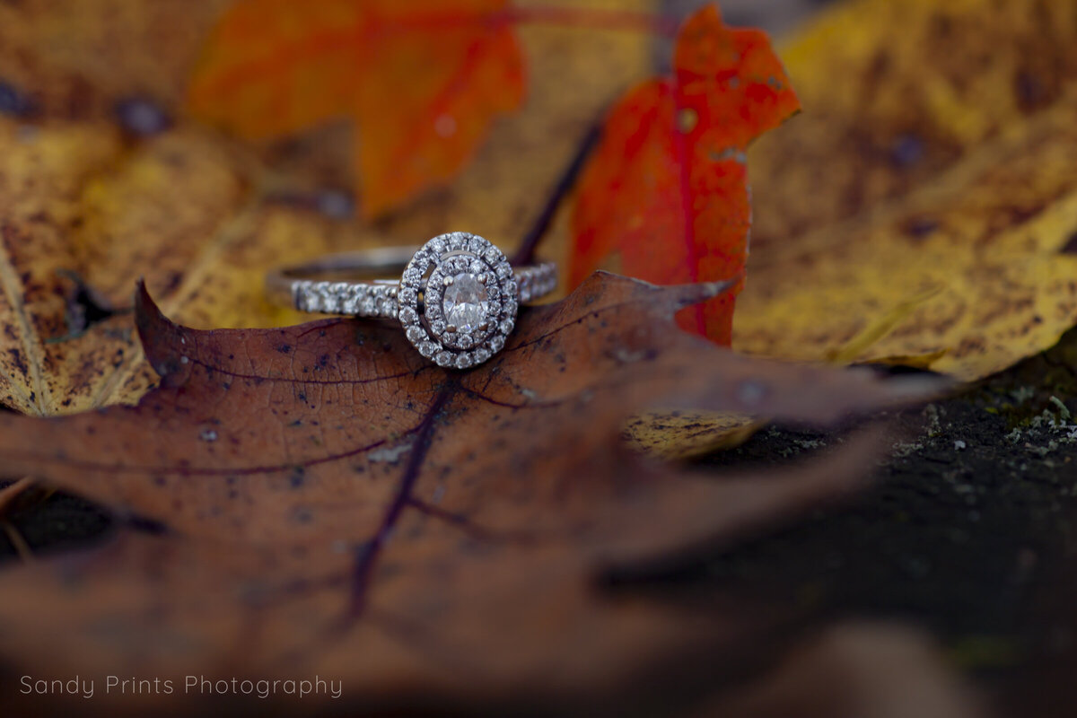 20181103-2018_11-Franchesca & Ryan's Engagement Session 5743