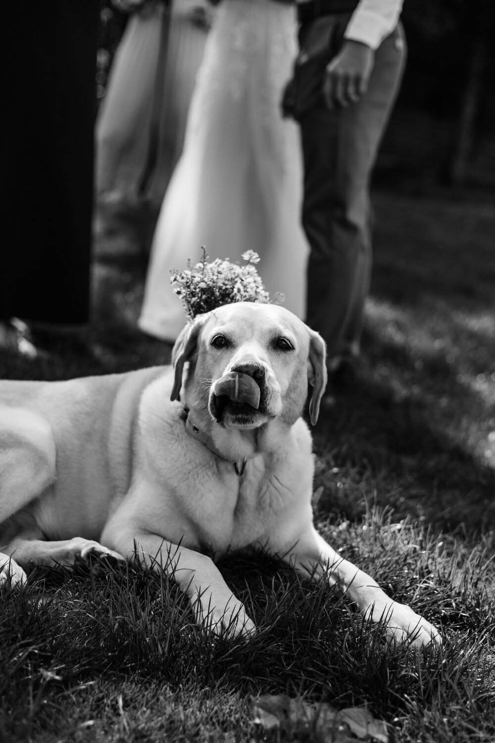 marketa-zyka-svatebni-fotografka-elopement-na-sumave19