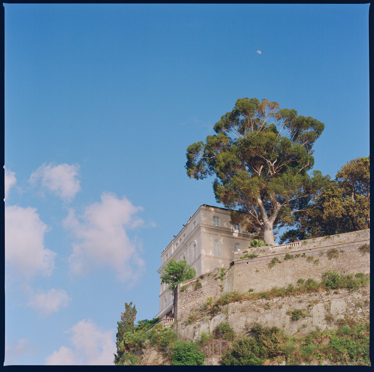 KIMGO_1
