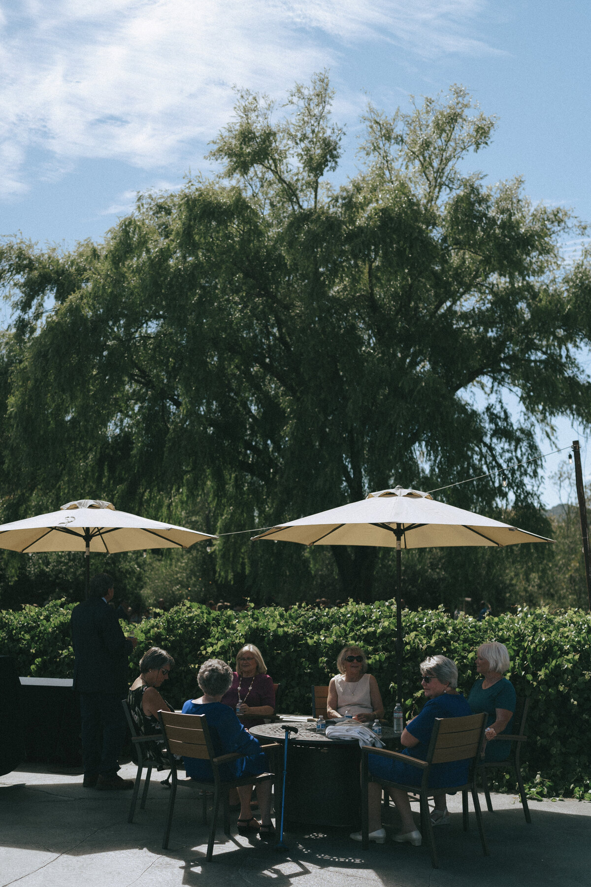 Intimate Wine Country Wedding in Sonoma, California