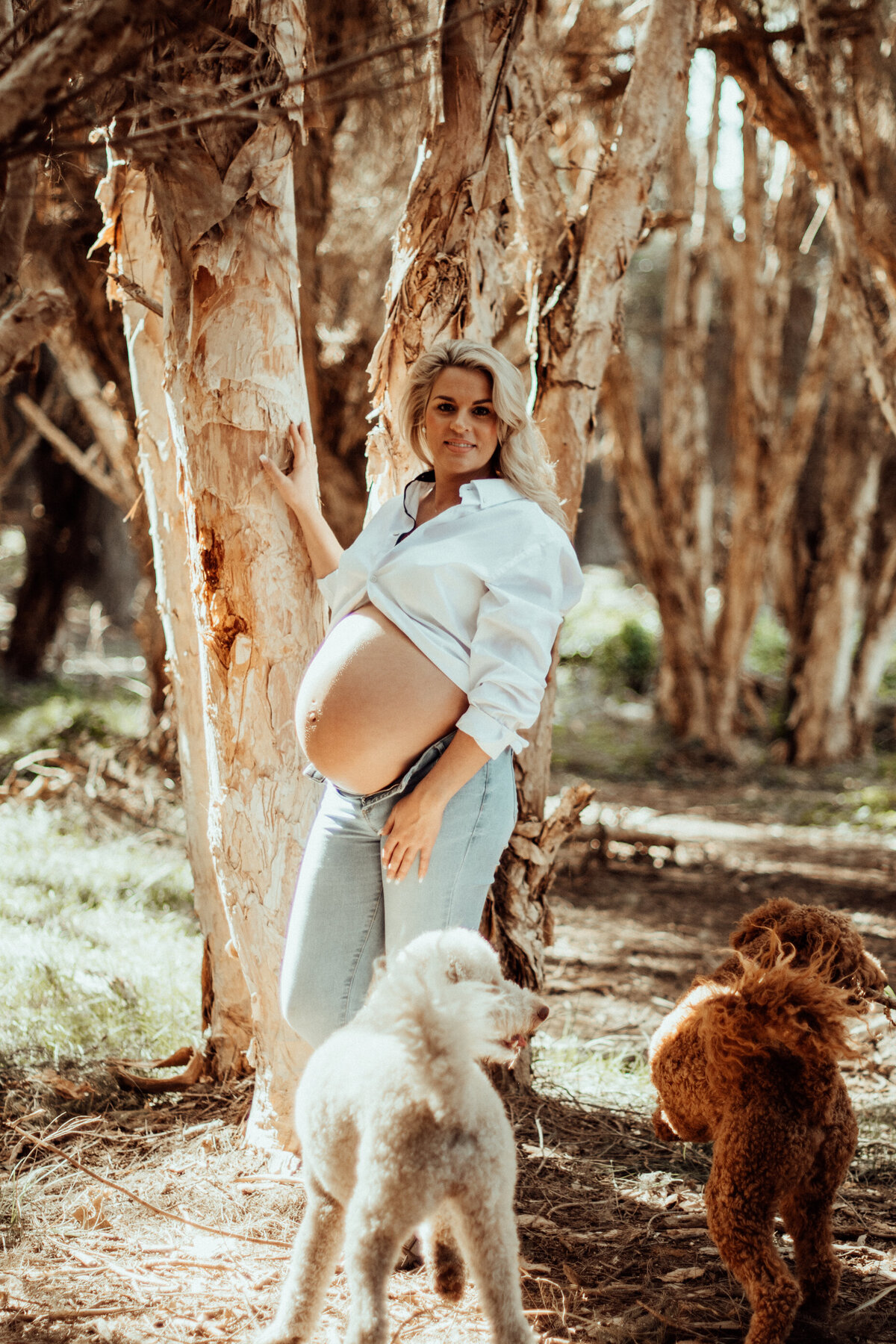 the-lifestyle-phodographer-perth-family-pet-photographer-maternity-newborn00015