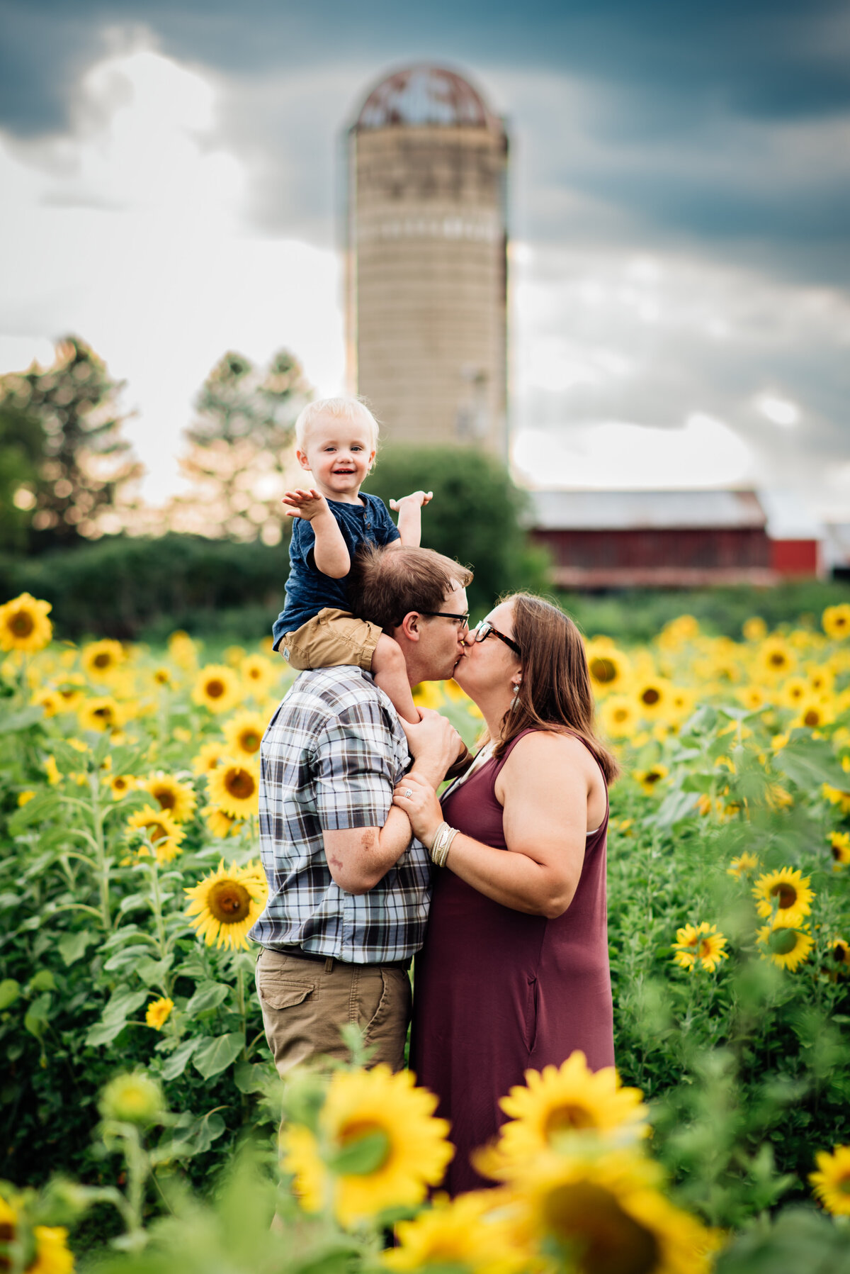 Sunflower-2
