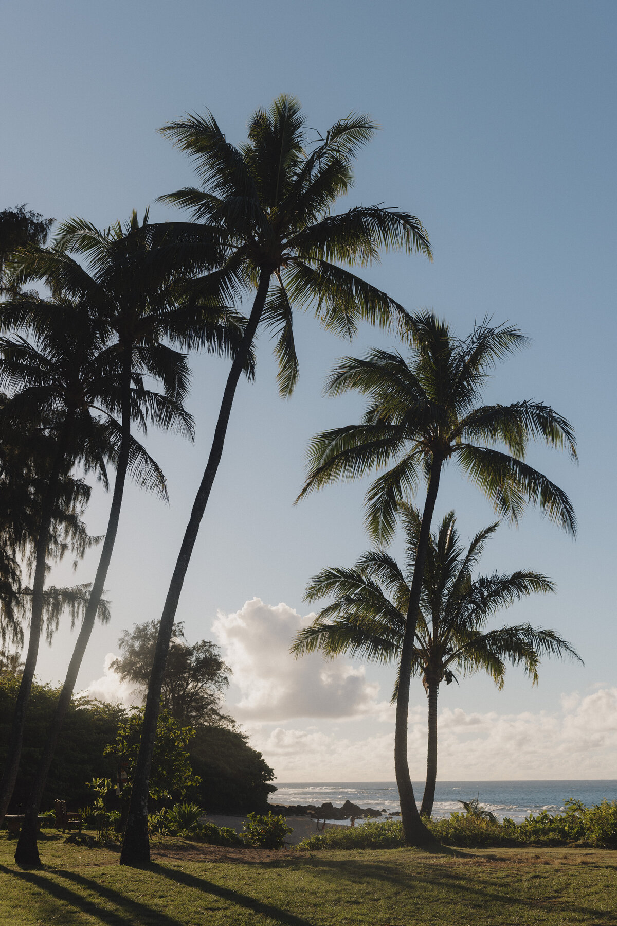 2024_0628_HCD_Kauai_030