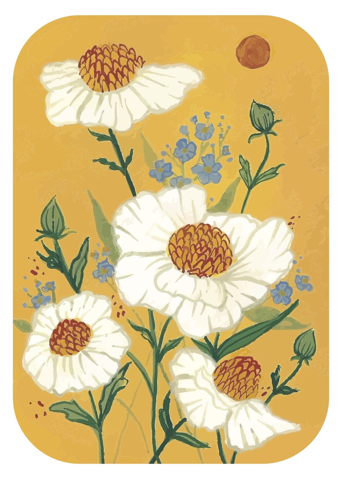 Poppies