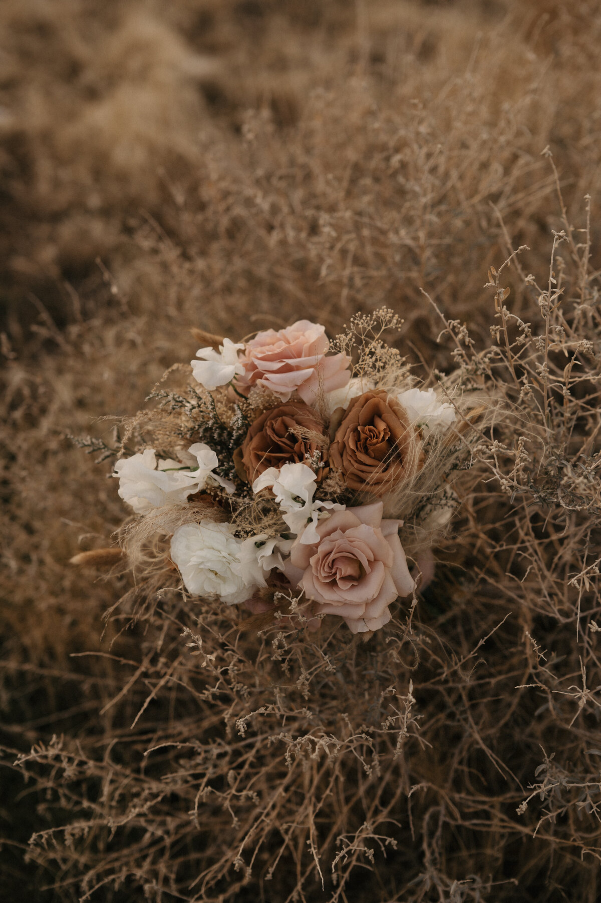 MountainTimePhotography-85