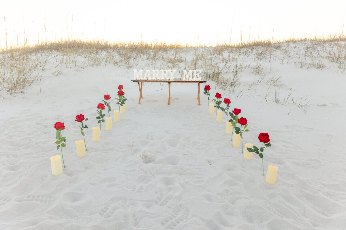 Red roses leading to will you marry me sign on beach