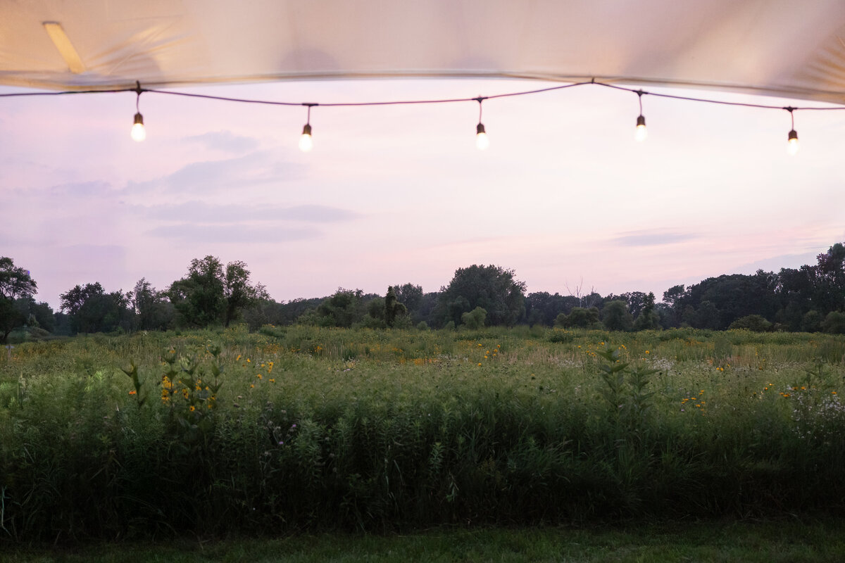 Haley-Steven-Wedding-Previews-Mariah-Jones-Photography-87