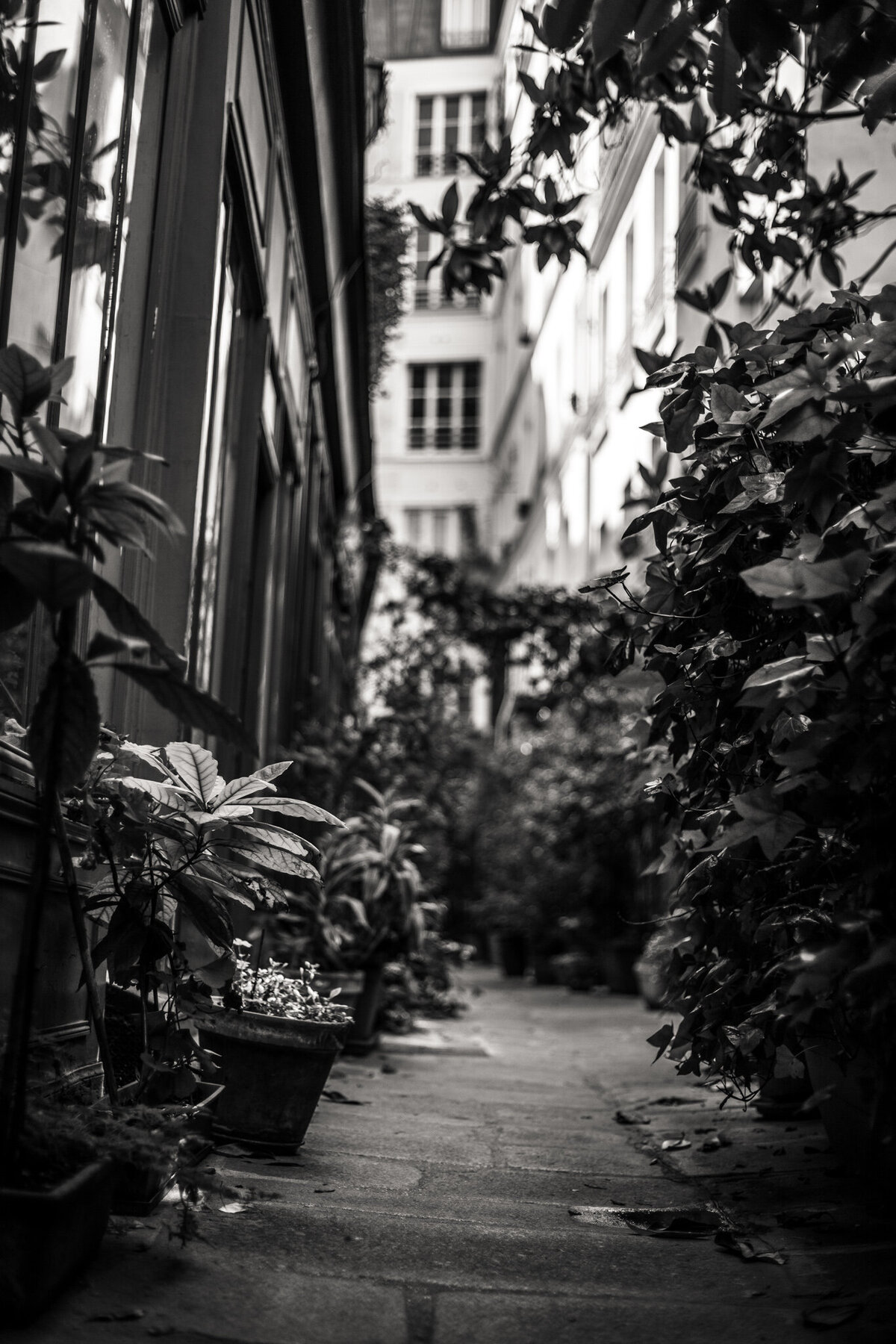 fine_art_photographer _147