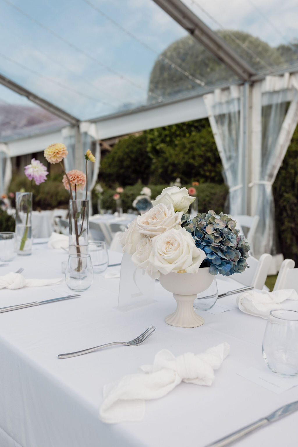 Alice&Andy-395