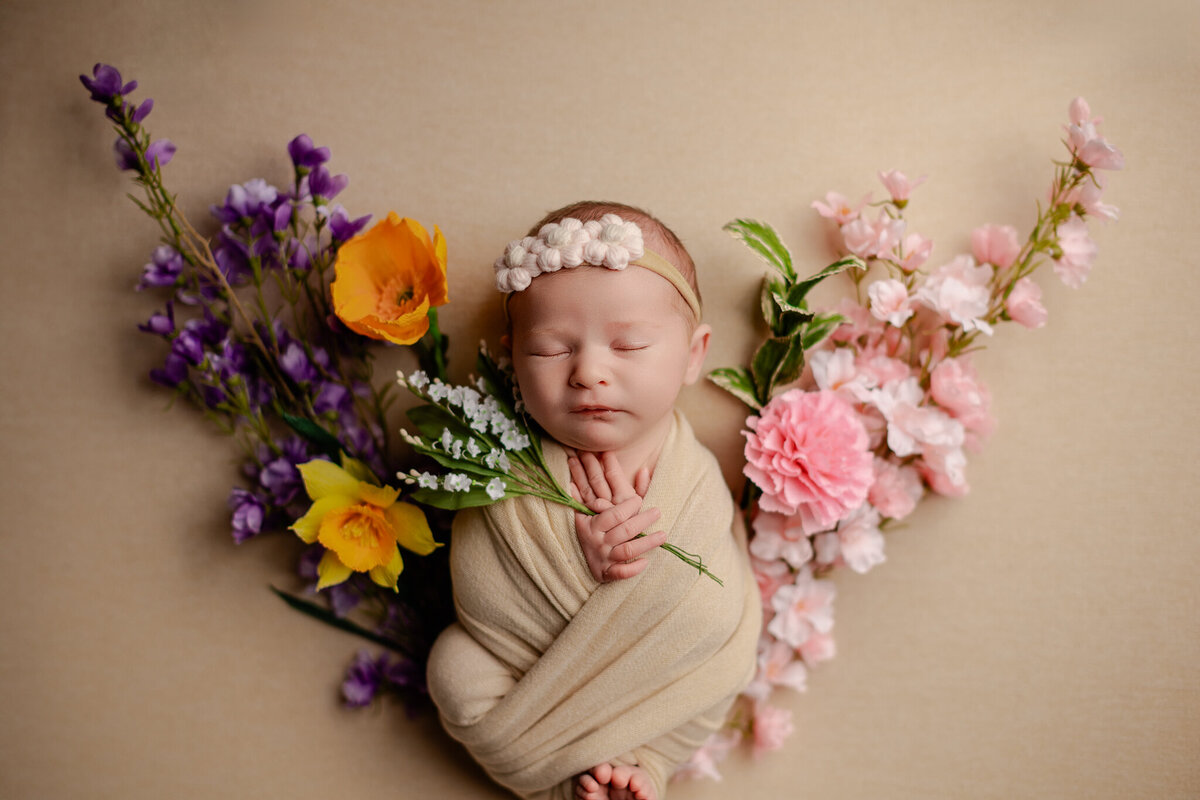 NWA newborn photographer, newborn portraits NW Arkansas