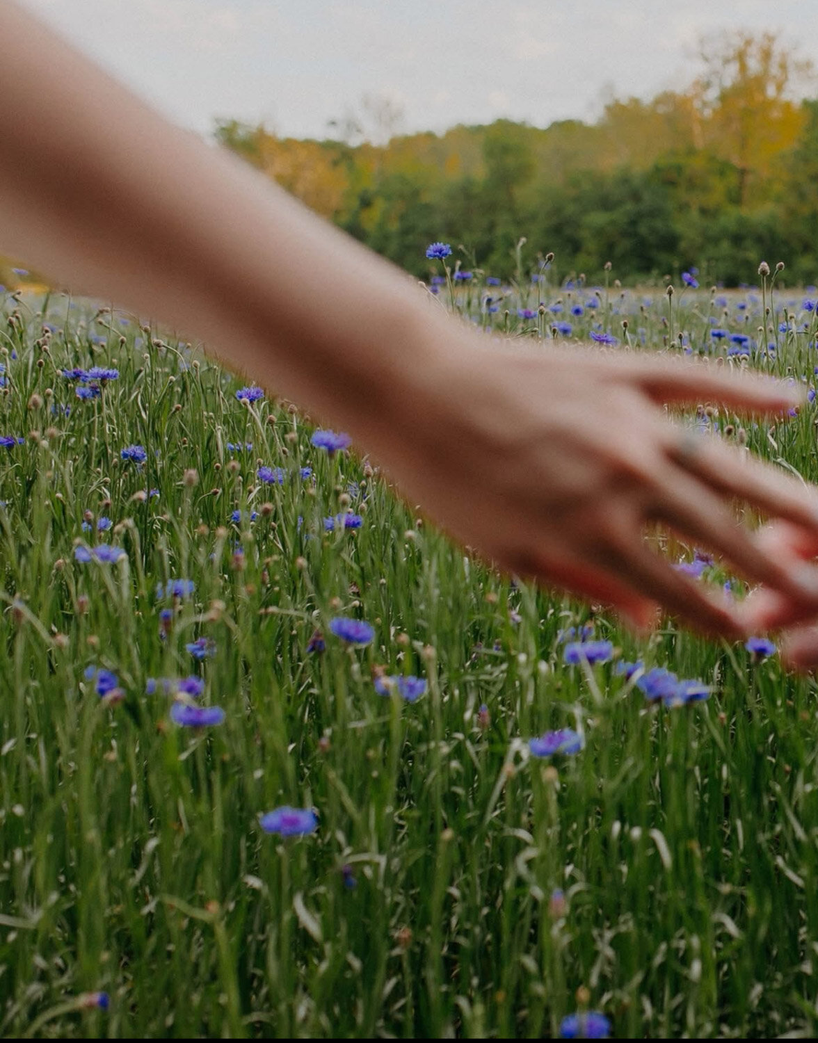 Closeup photo of brides hand