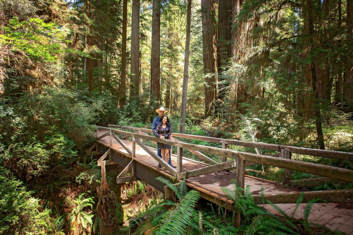 Engagement-Photographer-Avenue of the giants-redwoodsHumboldt-County-romantic-redwoods-elopement-Humboldt-redwoods_0164