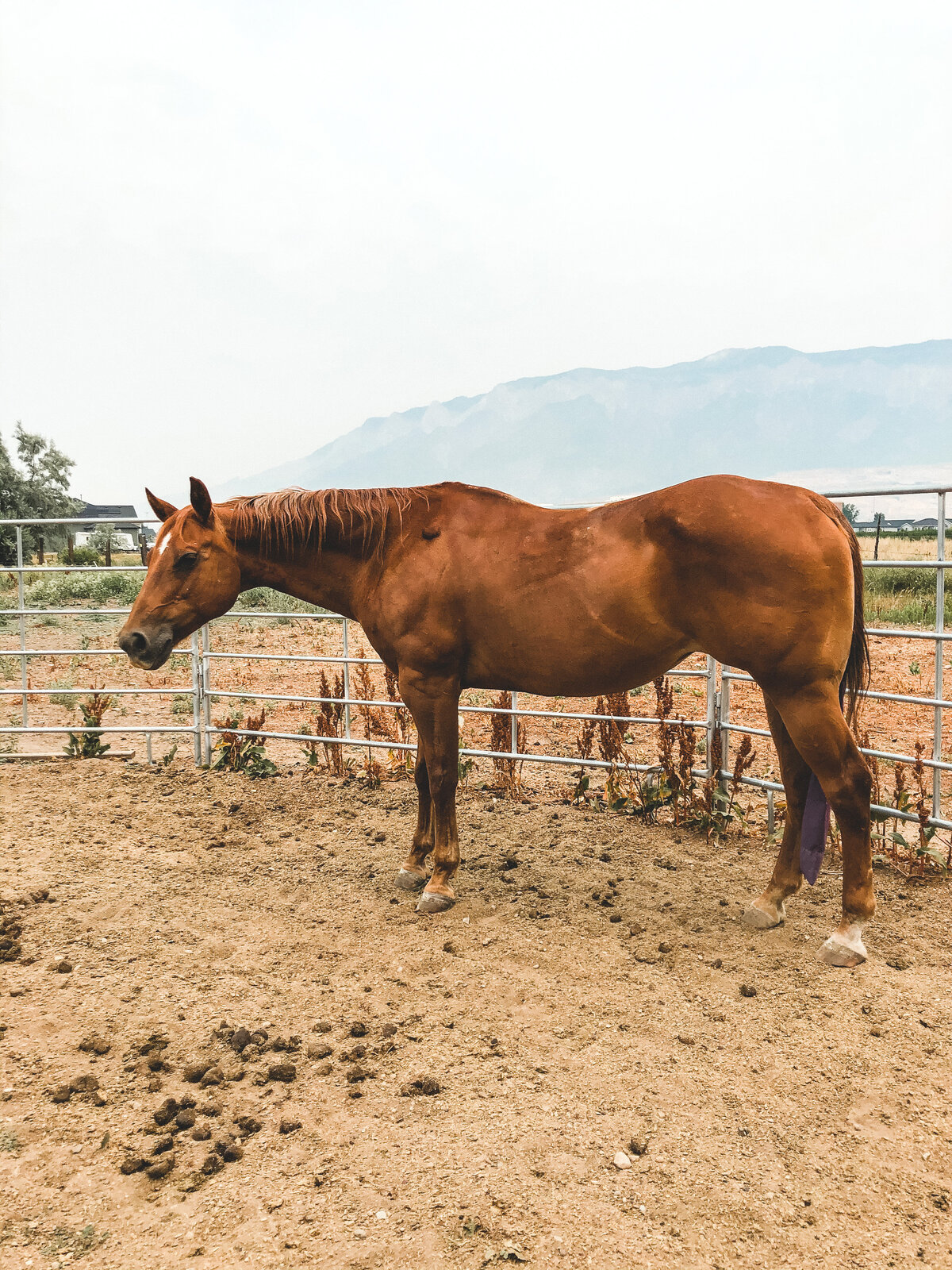 Photo Jul 11 2021, 1 10 00 PM