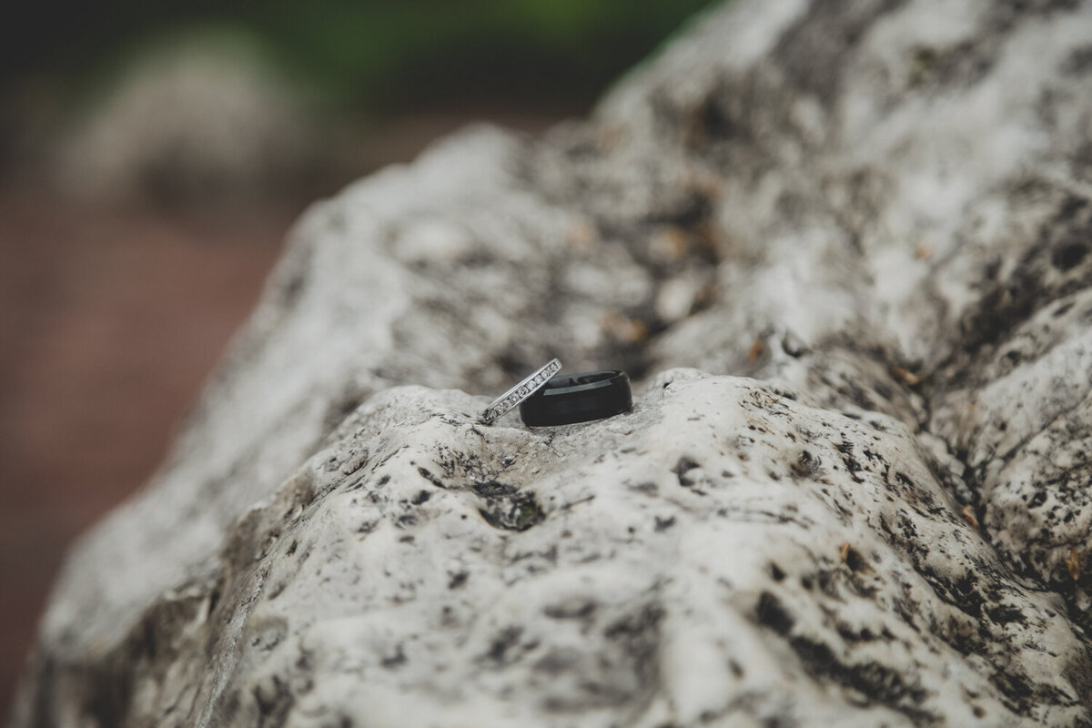 499A6590-Edit