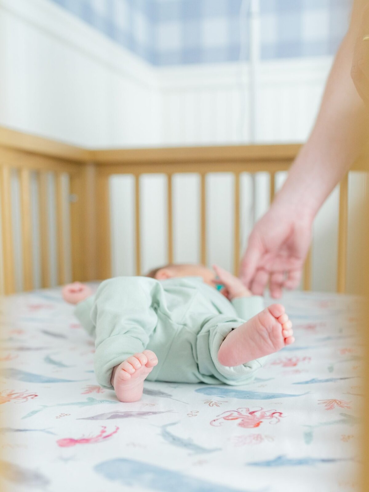 Newborn Robert - Nursery-32