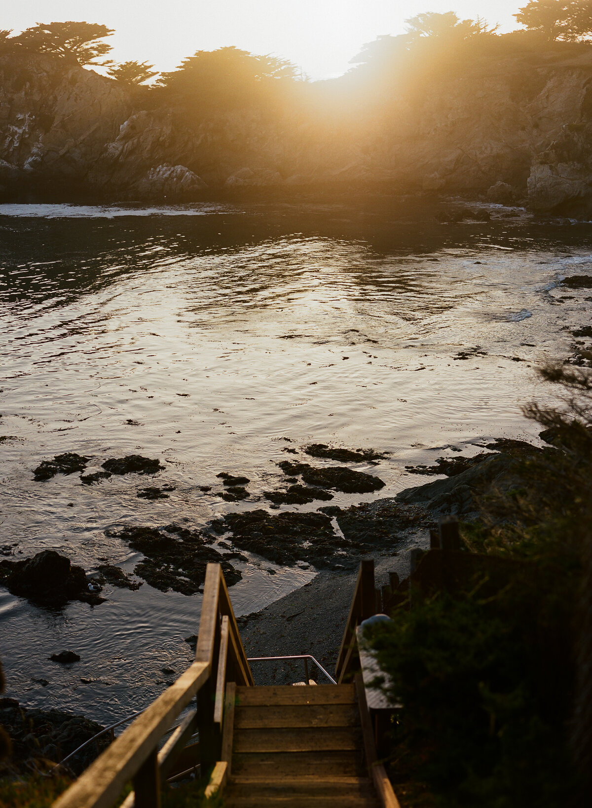 DT-2025-Kelcie&StevenPreview-69